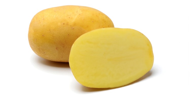 EUROPLANT Potato Seed Varieties