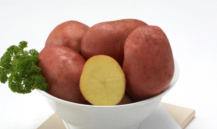 Bellarosa Potato Seed