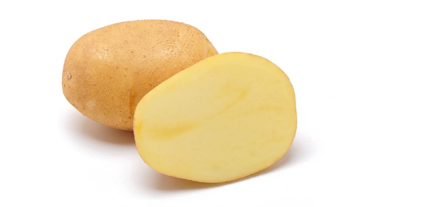 Donata Potato Seed