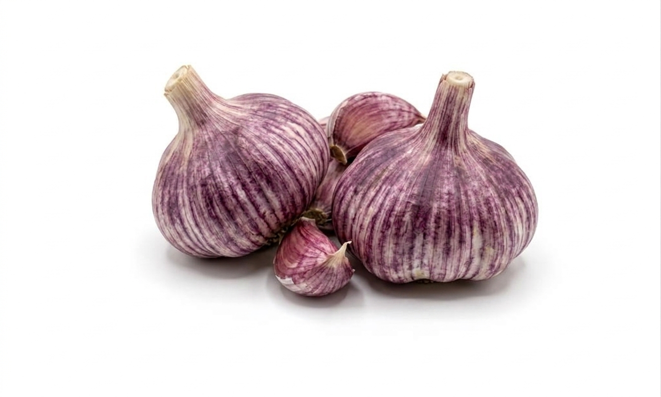 Purple Garlic