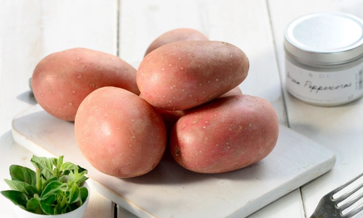 Laura Potato Seed